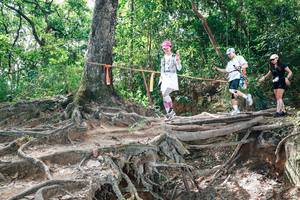 BIB: 
                            <button type="button" onclick="openModal(27720064)" class="btn btn-primary btn-sm float-right btn-popup" data-toggle="modal" data-target=".modal-high-quality">
                        <i class="fas fa-shopping-cart"></i> Add to Cart
                    </button>
                                            <button type="button" onclick="isThisMe(27720064, true)" class="btn btn-success btn-sm float-right btn-popup btn-isme hidden" data-toggle="tooltip" data-placement="bottom" title="นี่คือรูปของคุณใช่ไหม คลิกที่นี่เพื่อเอาเข้าอัลบั้ม">
                        <i class="fas fa-plus"></i> Add to album
                    </button>
                    <button type="button" onclick="isThisMe(27720064, false)" class="btn btn-warning btn-sm float-right btn-popup btn-isnotme hidden">
                        <i class="fas fa-ban"></i> Remove from album
                    </button>